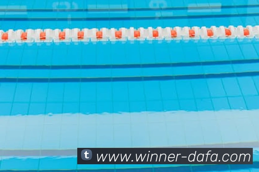 大发娱乐平台生态图