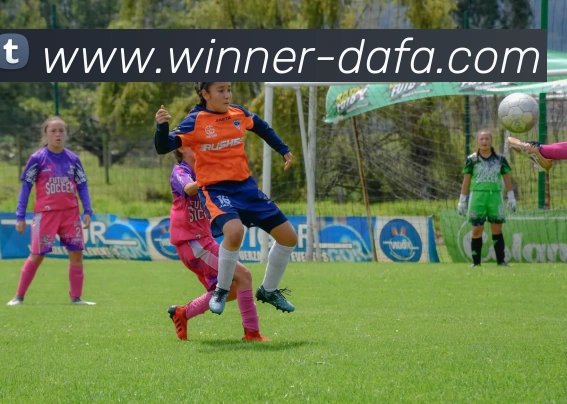 辅助工具 辅助工具